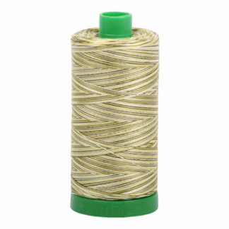 Aurifil 40wt 1300m Variegated Thread - 4653 - Spring Prairie