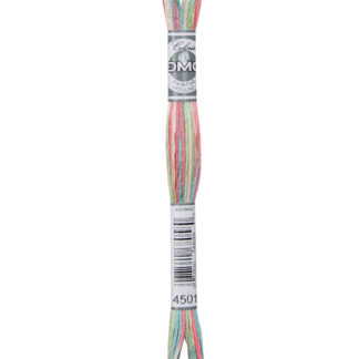 DMC Coloris Variegated Stranded Cotton Thread - 4501