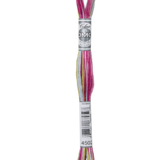 DMC Coloris Variegated Stranded Cotton Thread - 4502