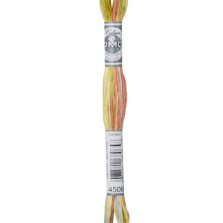 DMC Coloris Variegated Stranded Cotton Thread - 4508