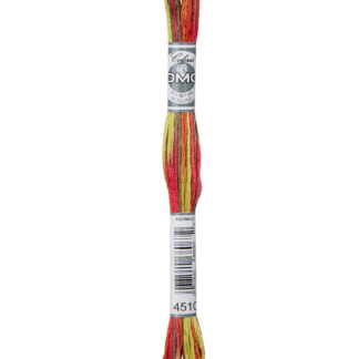 DMC Coloris Variegated Stranded Cotton Thread - 4510