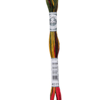 DMC Coloris Variegated Stranded Cotton Thread - 4511